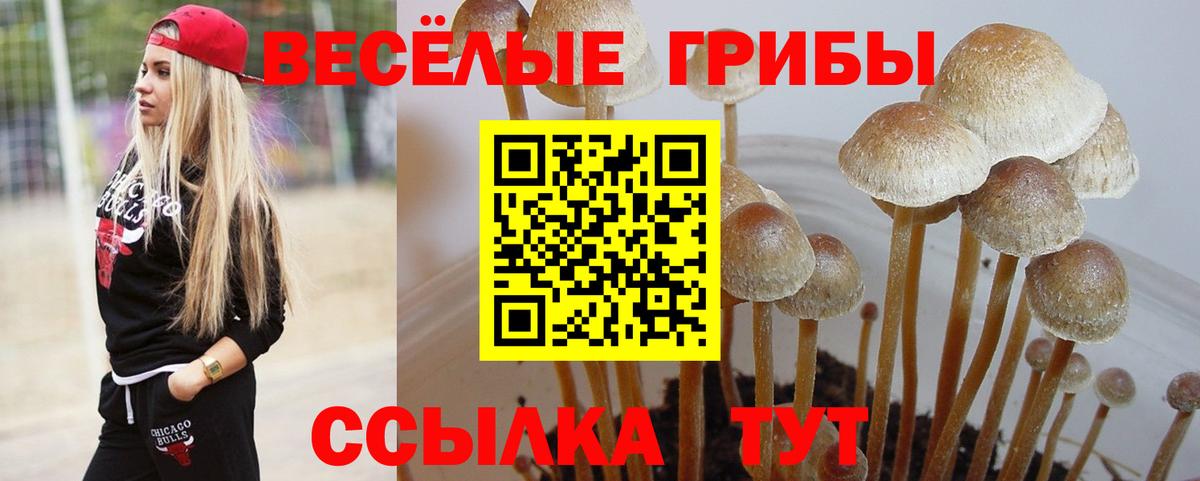 Ипатово  Псилоцибиновые грибы мицелий  Псилоцибиновые грибы Cubensis  Вход с VPN 